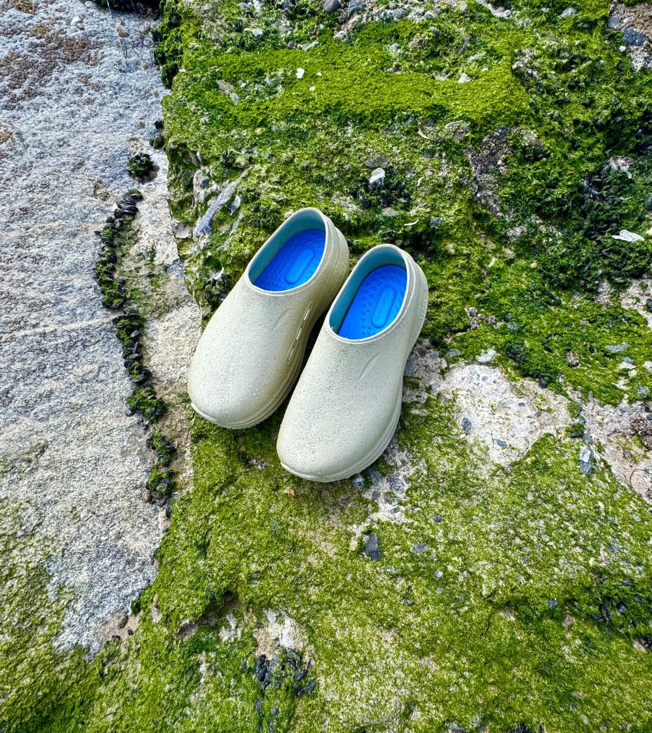 Ales Grey Frontline Pro 3_2